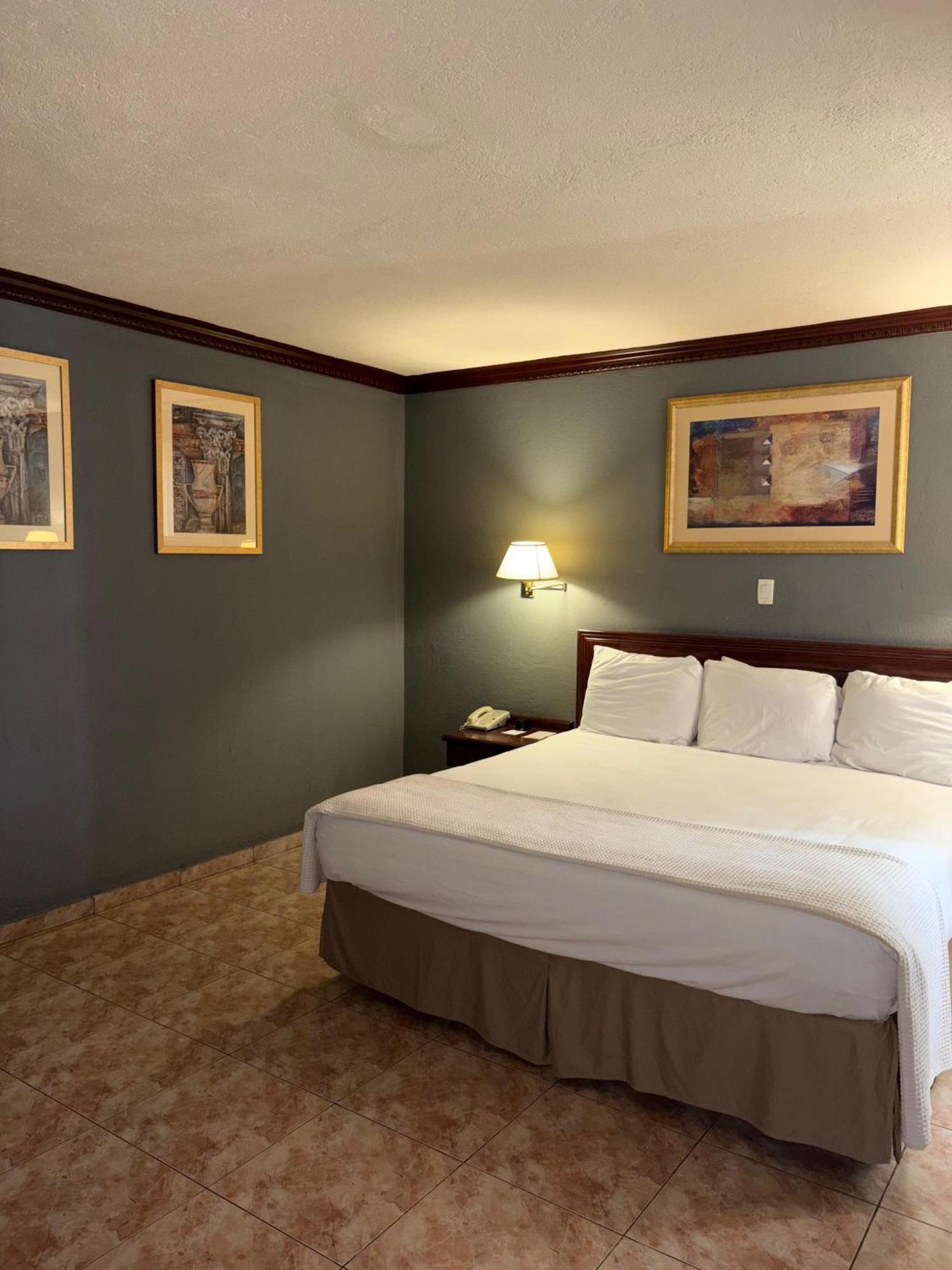 Florencia Plaza Hotel Tegucigalpa Ngoại thất bức ảnh